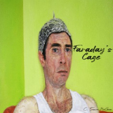 Faradays Cage Mcgee Faradays Cage Mcgee